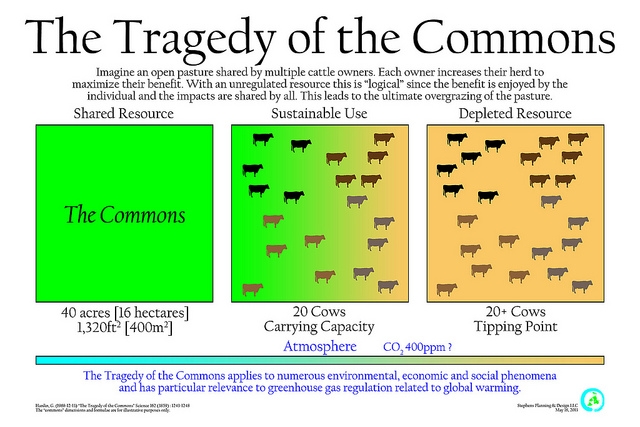 Google Search and the Tragedy of the Commons Borden #39 s Blather